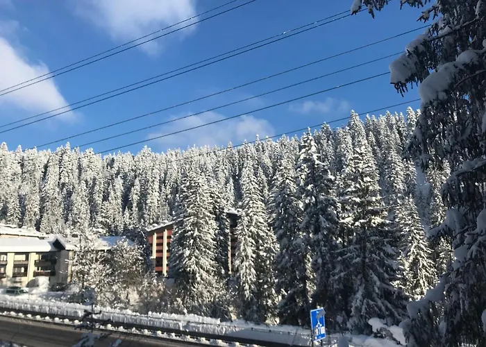 Laax Rancho Studio Apartment