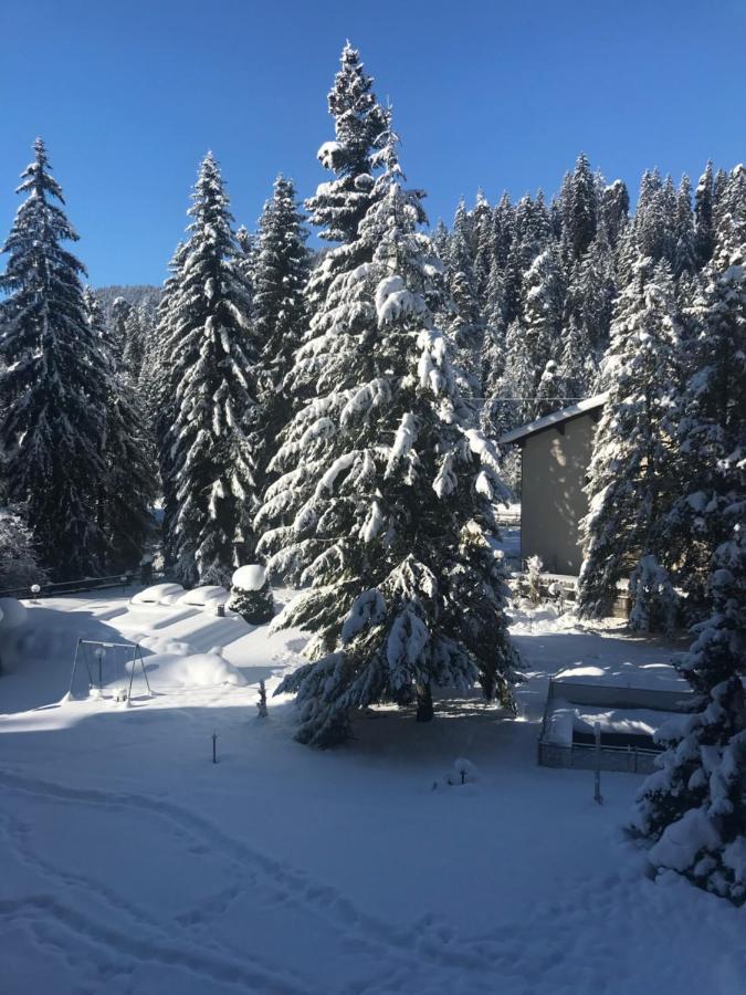 Rancho Laax