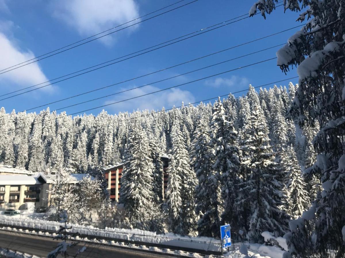 Rancho Appartamento Laax